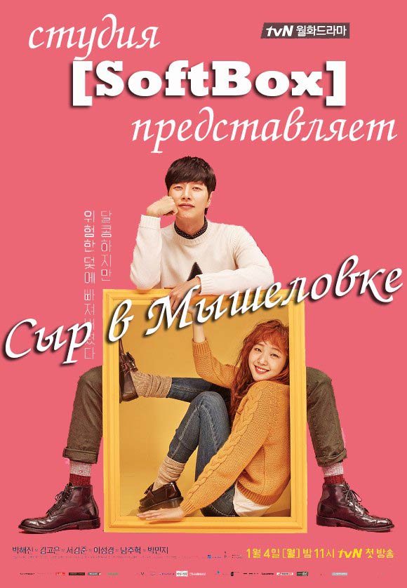 Сыр в мышеловке