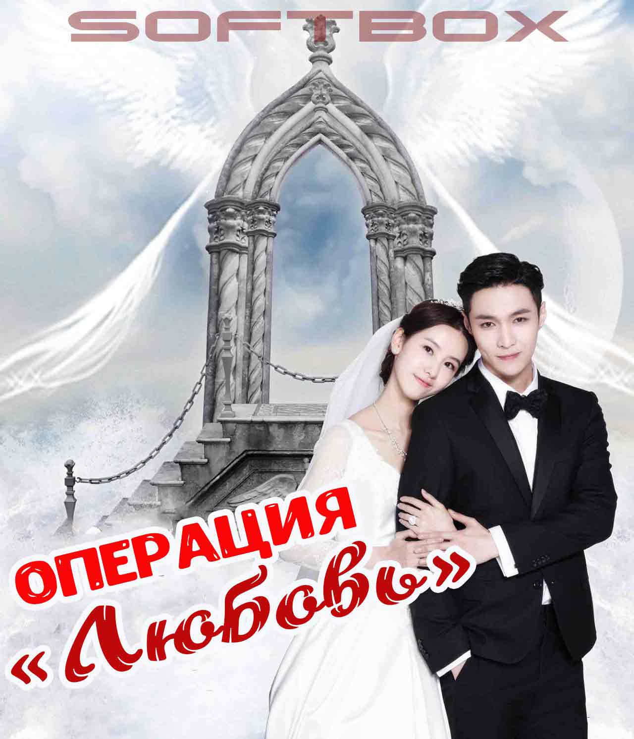 Операция «Любовь» (китайская версия)